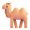 two hump camel